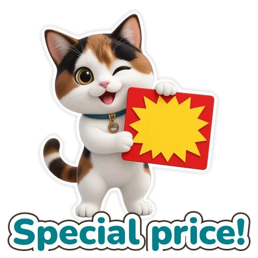 Special price!